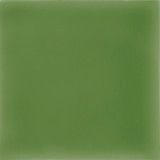 Pigment Mint