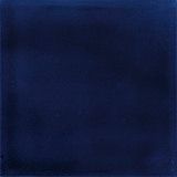 Pigment Navy