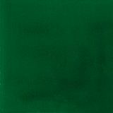 Pigment Bottle Green