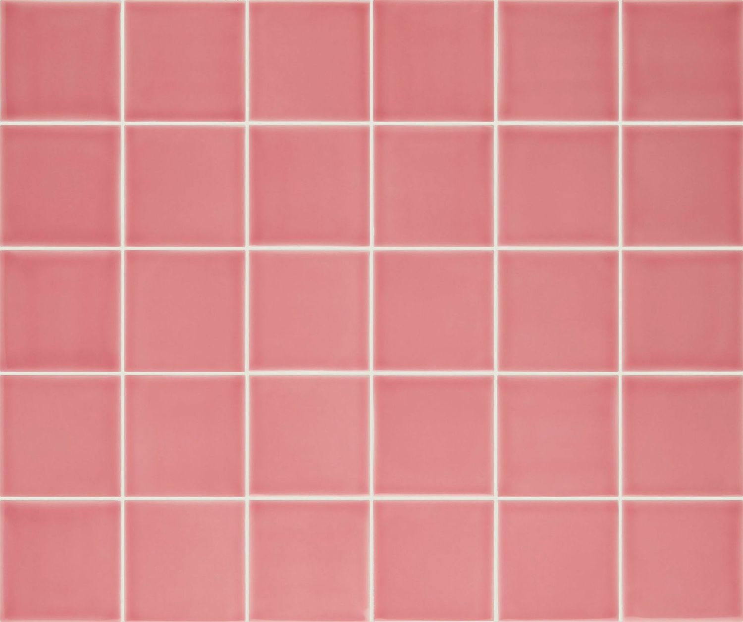Pigment Blush