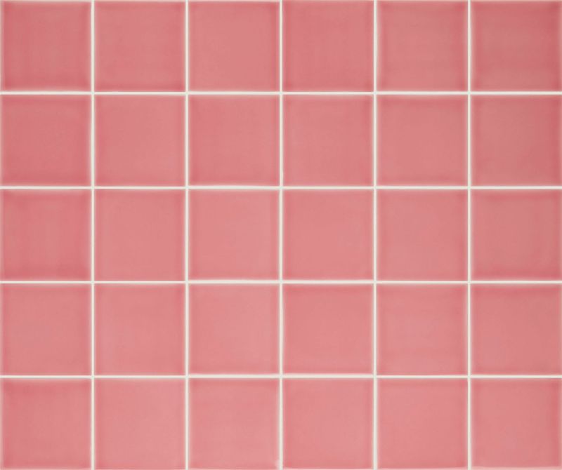 Pigment Blush