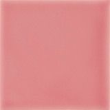 Pigment Blush