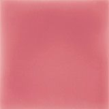 Pigment Rose