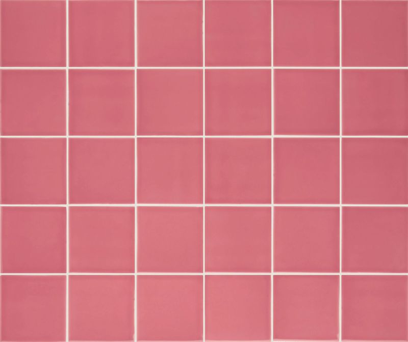 Pigment Rose