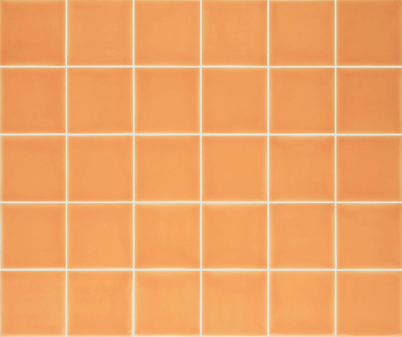 Pigment Salmon