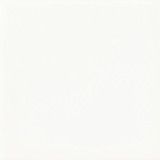 Pigment White Pigment White