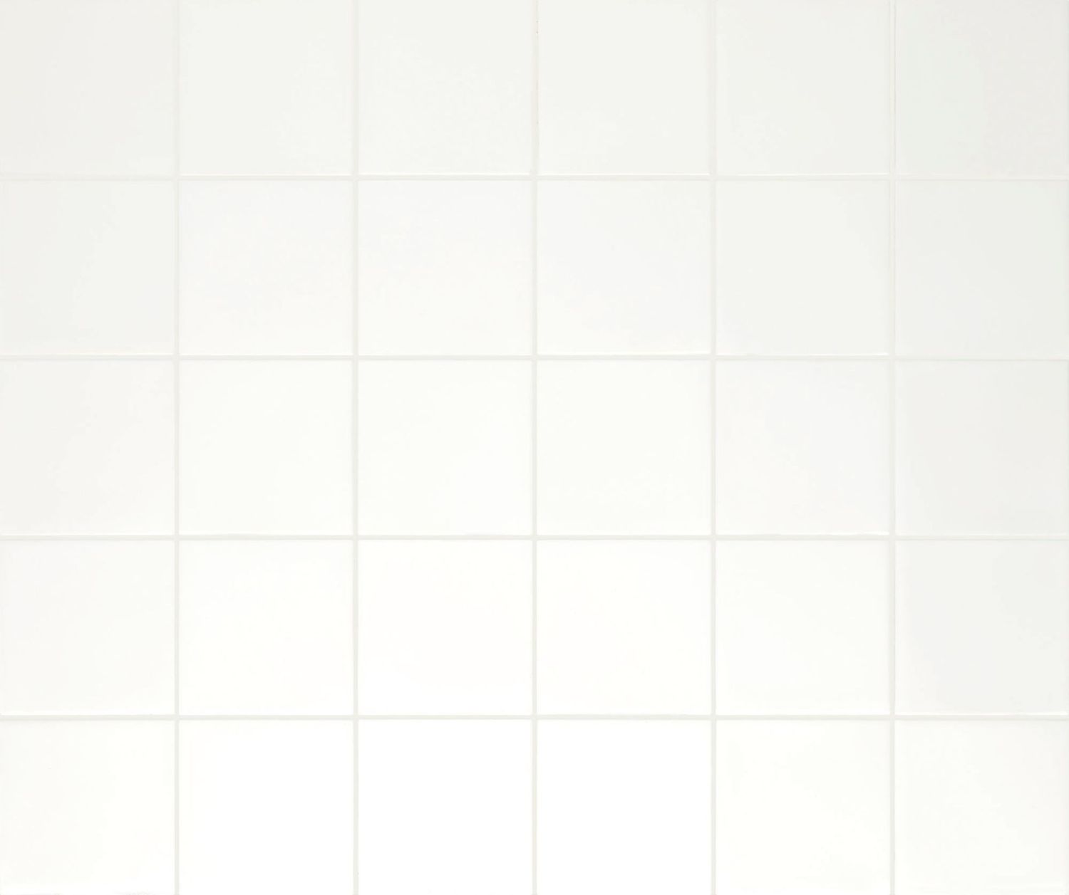 Pigment White Pigment White