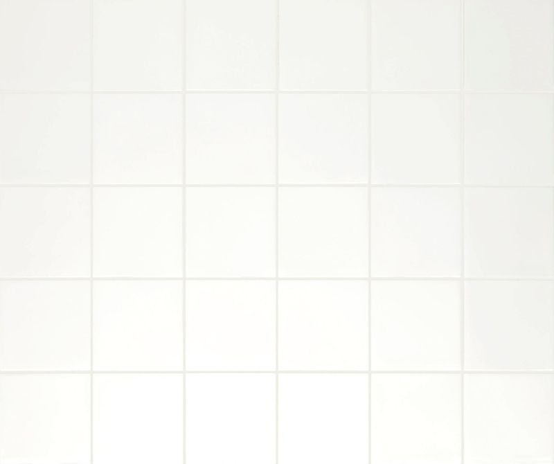 Pigment White