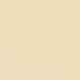 Pigment Beige Pigment Beige