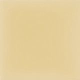Pigment Parchment