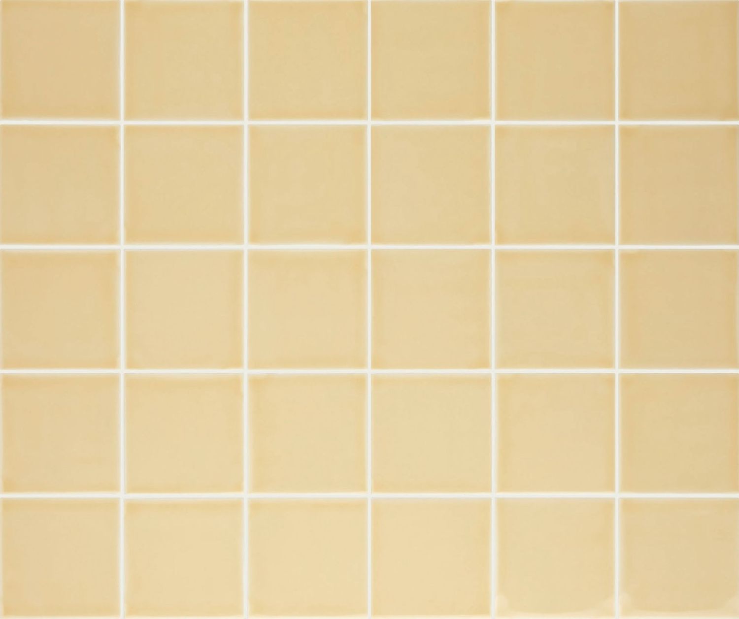 Pigment Parchment Pigment Parchment