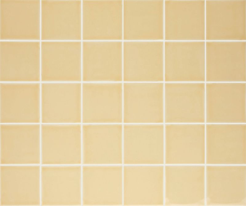 Pigment Parchment