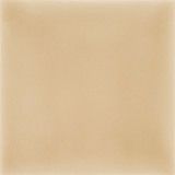 Pigment Camel