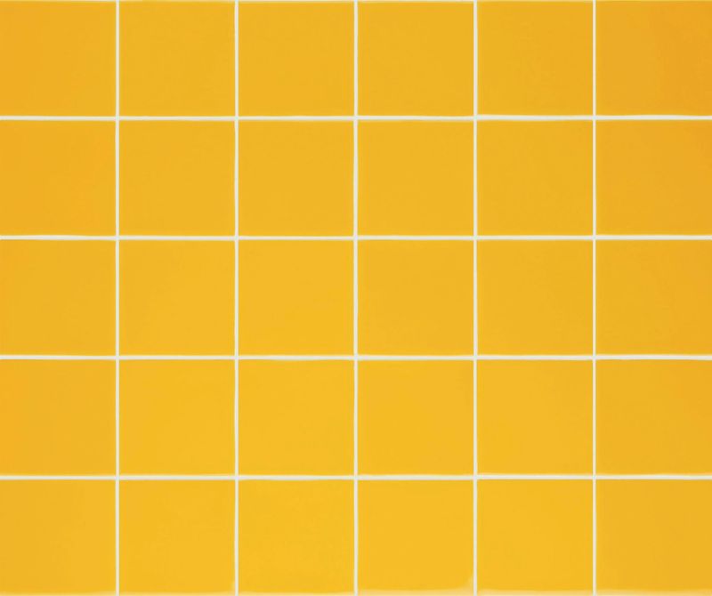 Pigment Sunflower