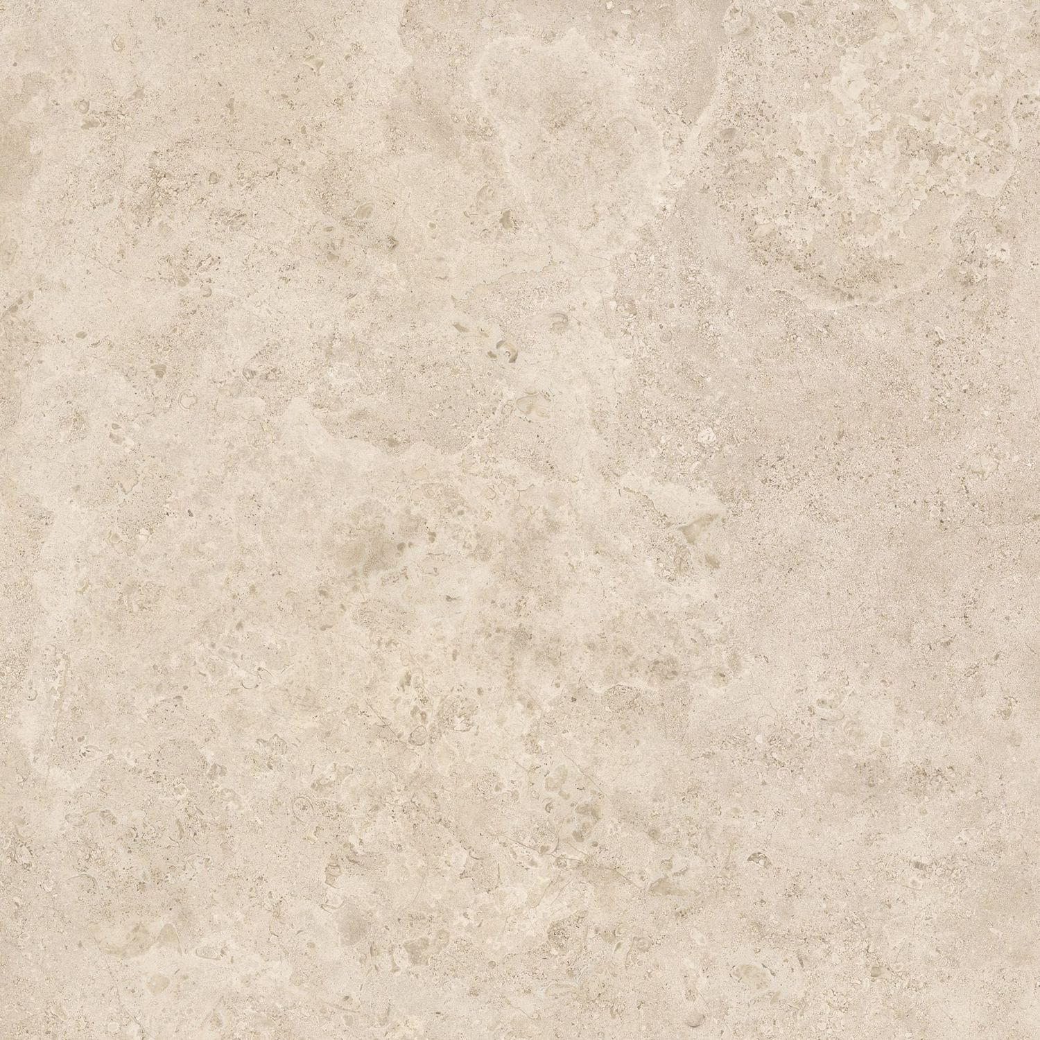 Fall Beige Fall Beige