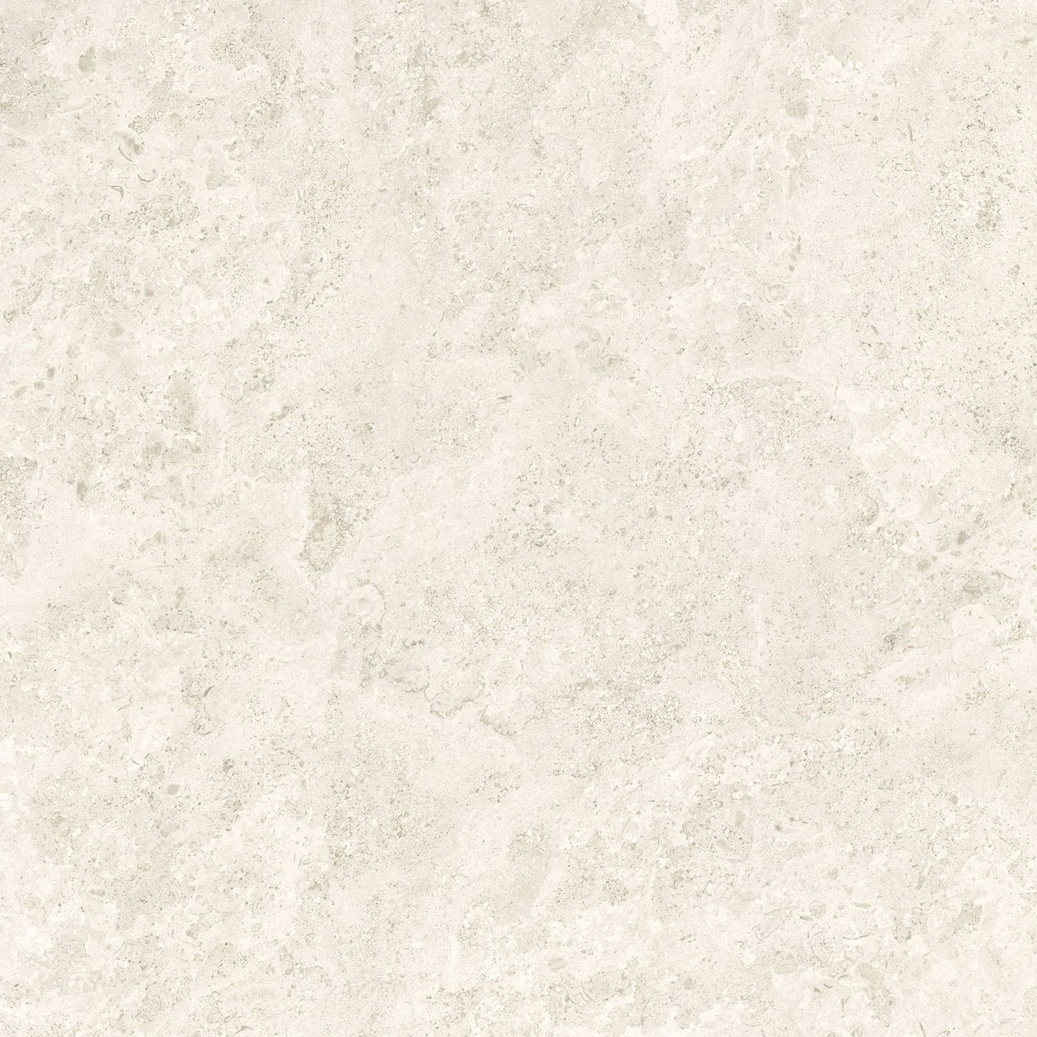 Fall White Fall White