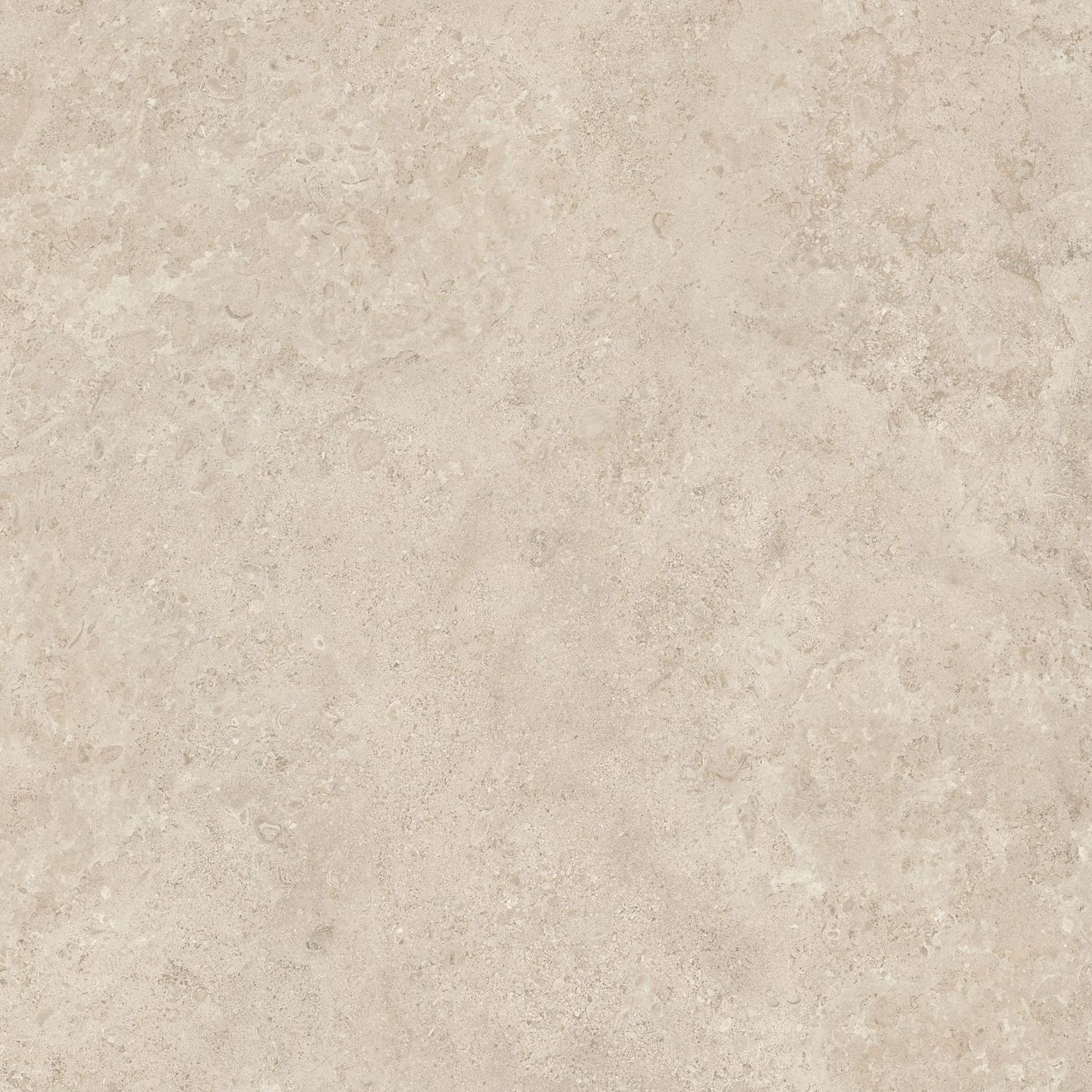 Fall Taupe Fall Taupe