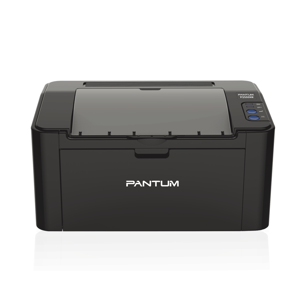 Принтер Pantum  лазерный монохромный P2500NW