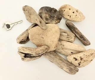 Driftwood - 10 pieces