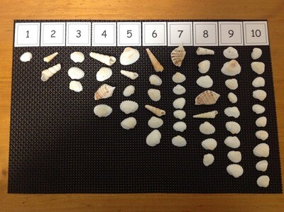 Shell Counting