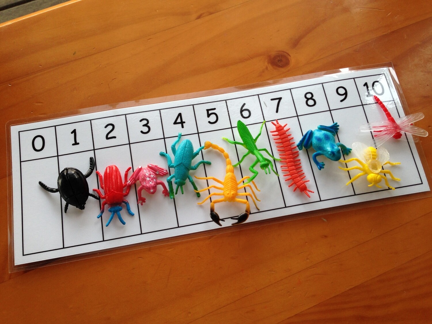 Mini Insect Counting