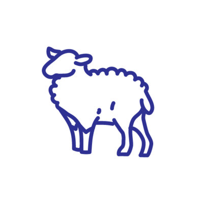 Ewes Milk