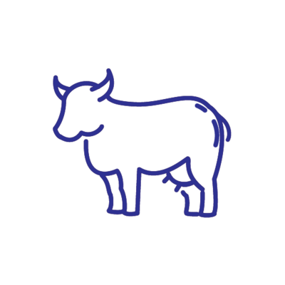 Cows Milk