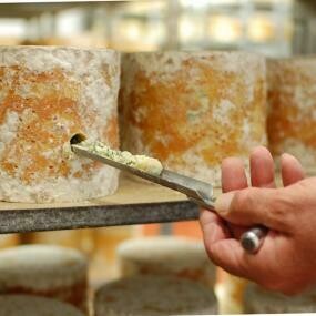 Colston Bassett (PDO) (Baby Stilton)