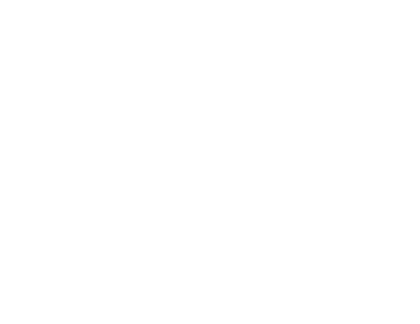 IH Internacional