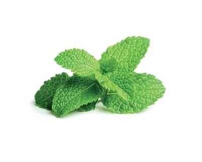 Fresh Mint-herbs(100g) / 新鲜薄荷叶 （100克）