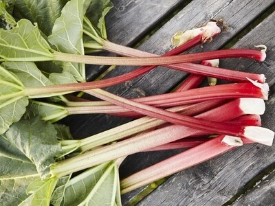 Fresh Rhubarb-seasonal (2 Lb) / 新鲜大黄（2磅）