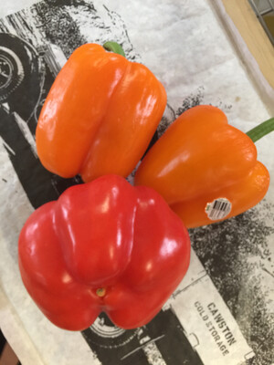 Red /yellow Or Orange Bell Pepper（3pc）/ 大红灯笼椒（3只）