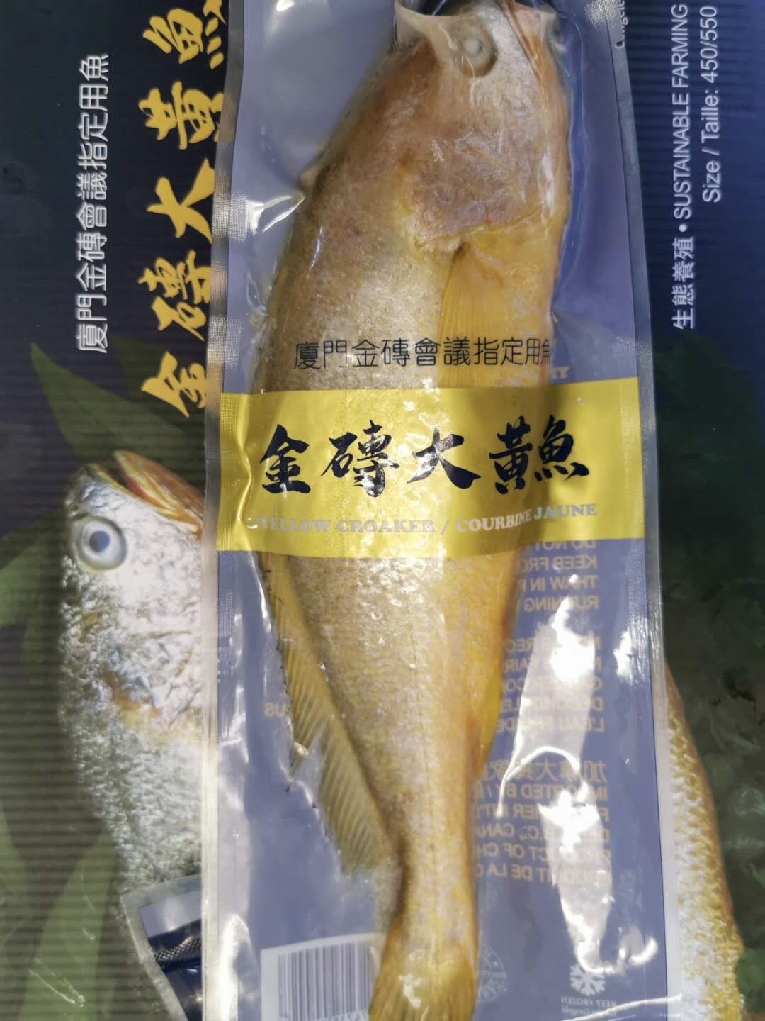 Yellow Croaker Fish 1pc / 金砖大黄花鱼 1条