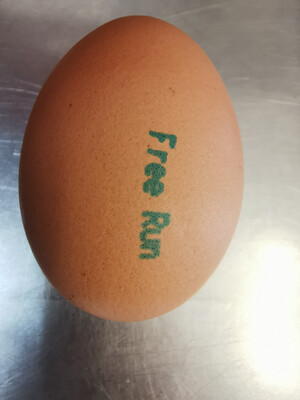 Large Free Run Eggs (30pc) /走地鸡棕色鸡蛋（大）30枚