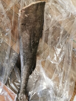 Frozen whole Black Cod/Sable fish(Headless) 4.25 lb-5lb