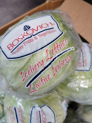 Ice berg lettuce($1 each) /生菜 1 个