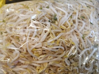 Bean sprouts (300 g)