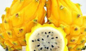 Yellow Drango fruit($5.50 each)/ 麒麟果 1个
