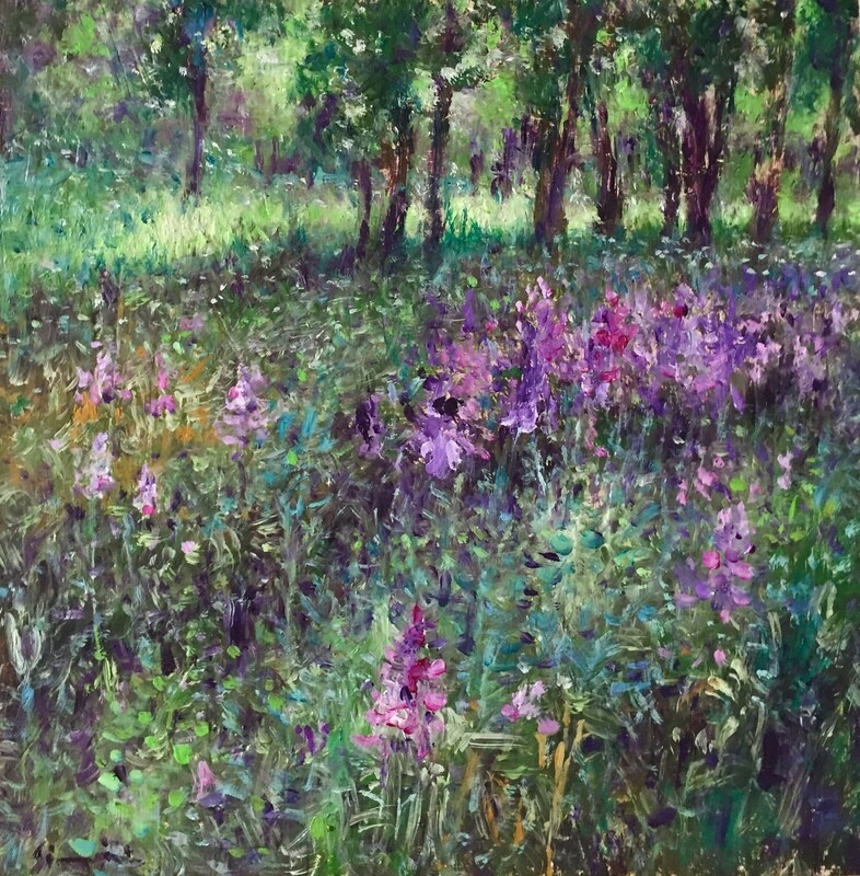 Viola