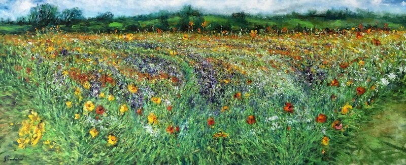 Campo di Milva