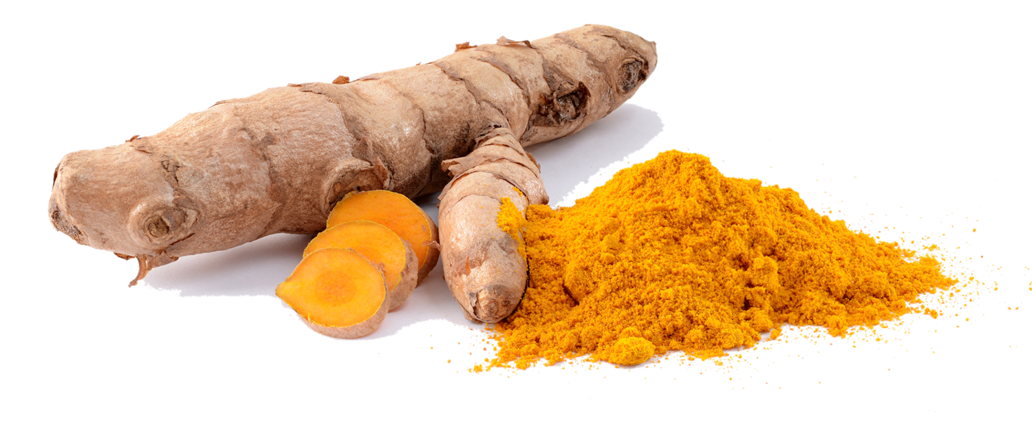 Turmeric Curcumin Medicinal plants Spice