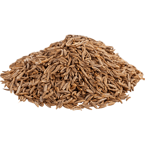Cumin Seeds (Jeera, Zeera)