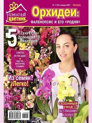 Орхидеи: Фаленопсис и его «родня» (Комнатный цветник, 2021/01)