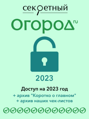 Доступ в раздел на 2023 год