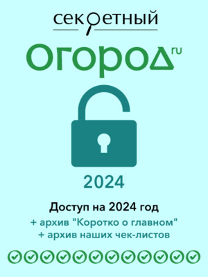 Доступ в раздел на 2024 год