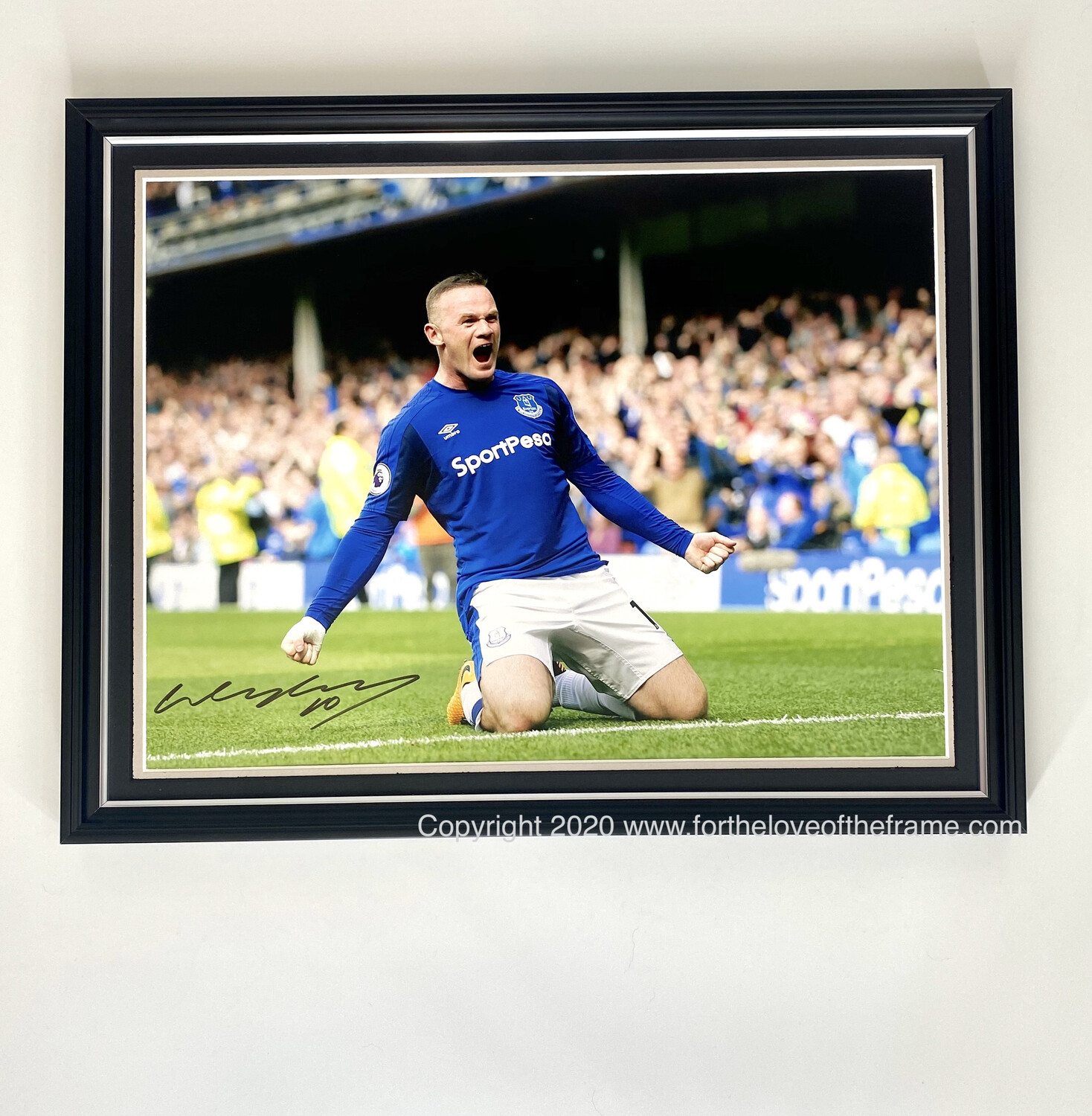 Wayne Rooney Hand Signed Autographed Everton Football Soccer Photo Display