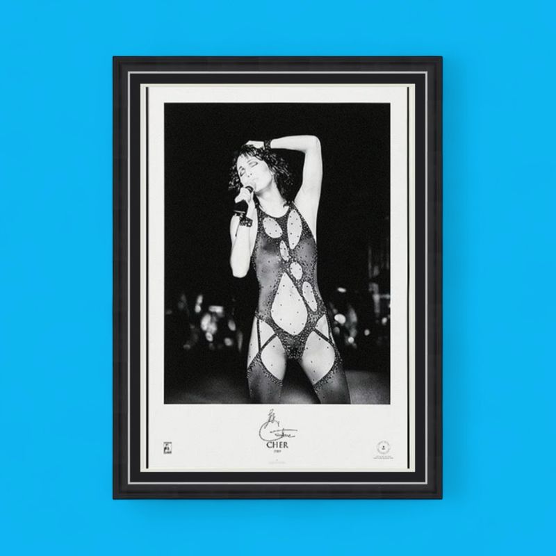 Cher Signed Limited Edition & Numbered Poster & Official Certificate Of Authenticity Music Memorabilia Autograph Auto Photo
