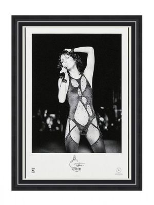 Cher Hand SIGNED Limited & Numbered Edition Artwork & Official Certificate Of Authenticity Music Memorabilia Autograph Auto Photo