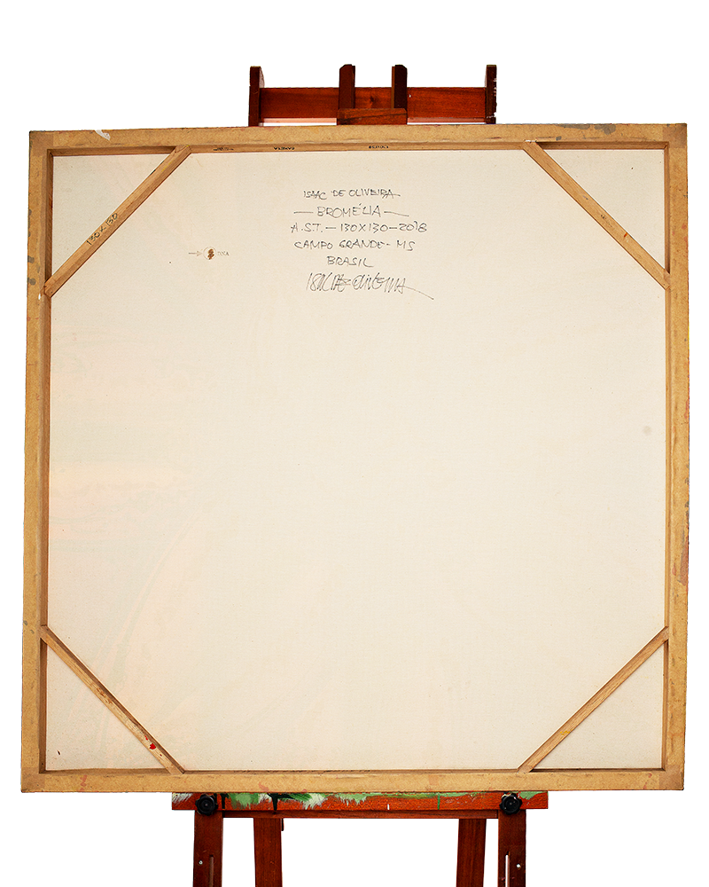 Quadro Original DNA Isaac Bromélia