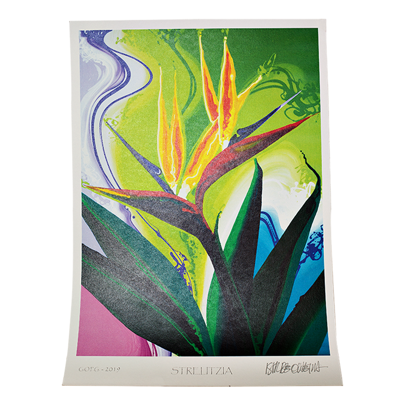 Gravura Digital Strelitzia